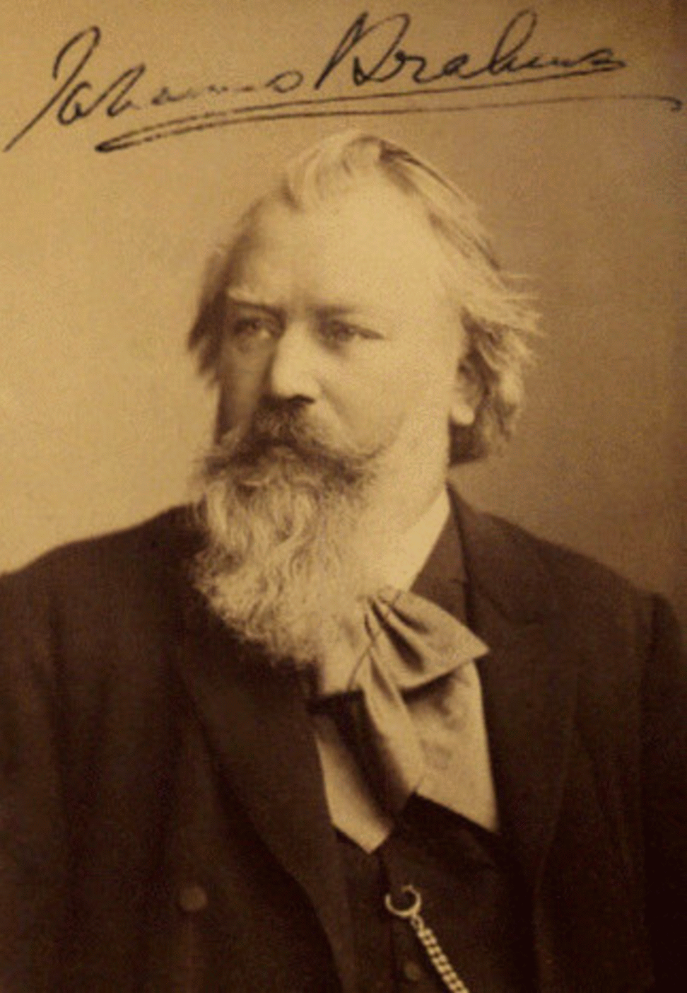 Porträt von Johannes Brahms
